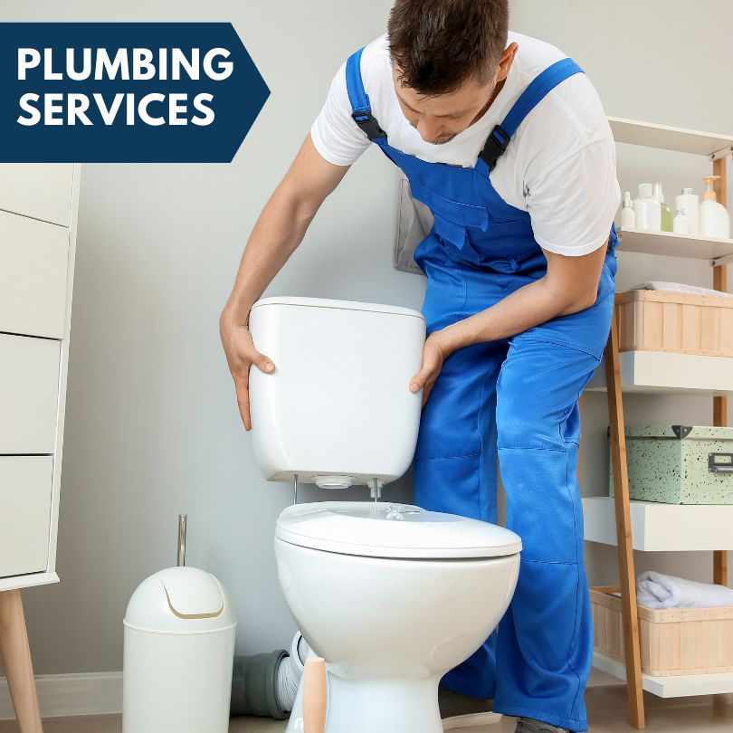 Plumbing Company in Lakeside, MI